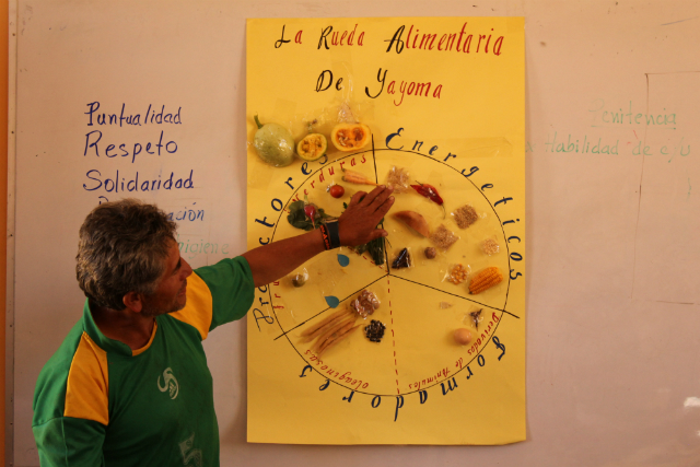 Billede 3 - Lærer præsenterer sit ernæringshjul (blade)